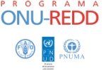 UN-REDD_full_logo_SP-pb9